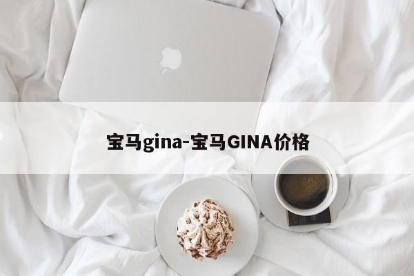 宝马gina-宝马GINA价格